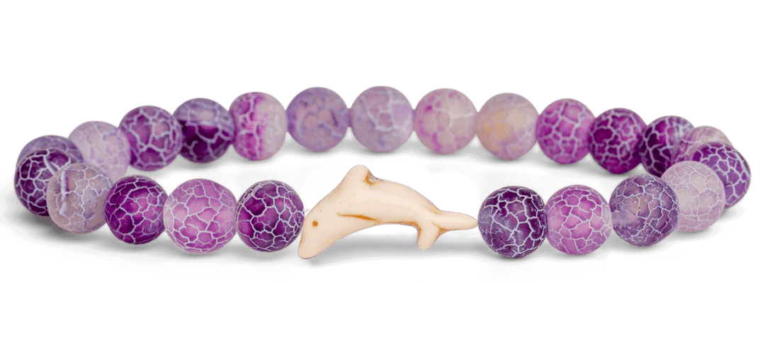 Fahlo Animal Tracking Bracelets
