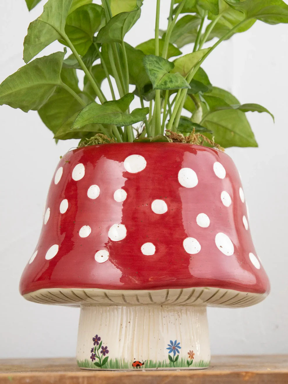 So Cute Ceramic Planter - Mushroom