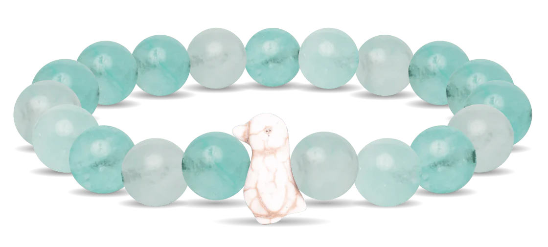 Fahlo Animal Tracking Bracelets