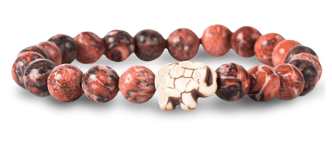 Fahlo Animal Tracking Bracelets