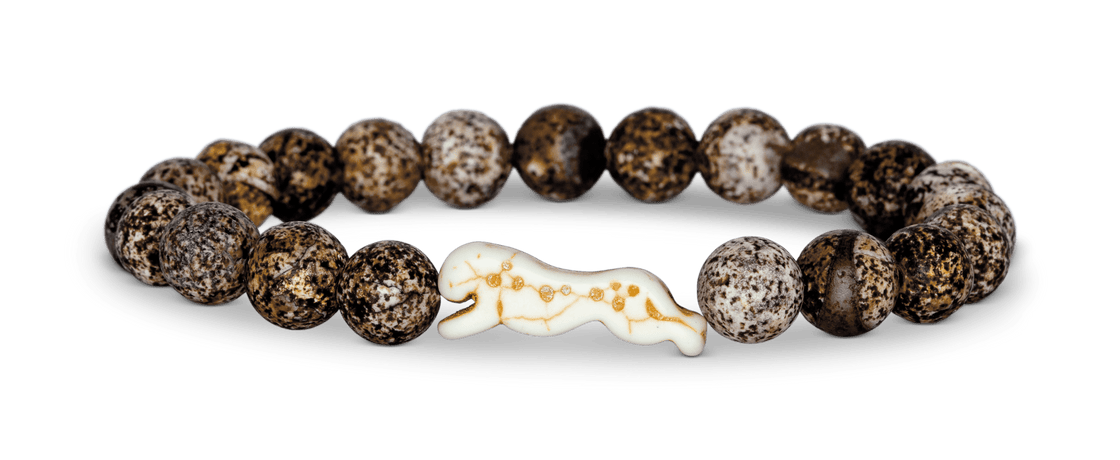Fahlo Animal Tracking Bracelets